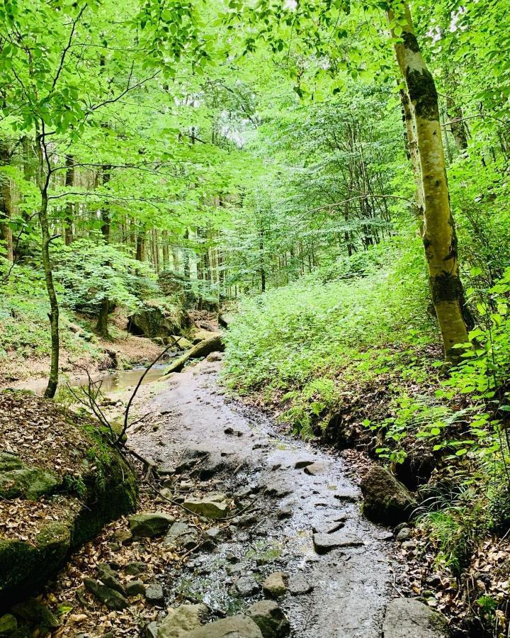Tailor'S Trail Gite D'Adventure Beaufort Mullerthal Exterior foto